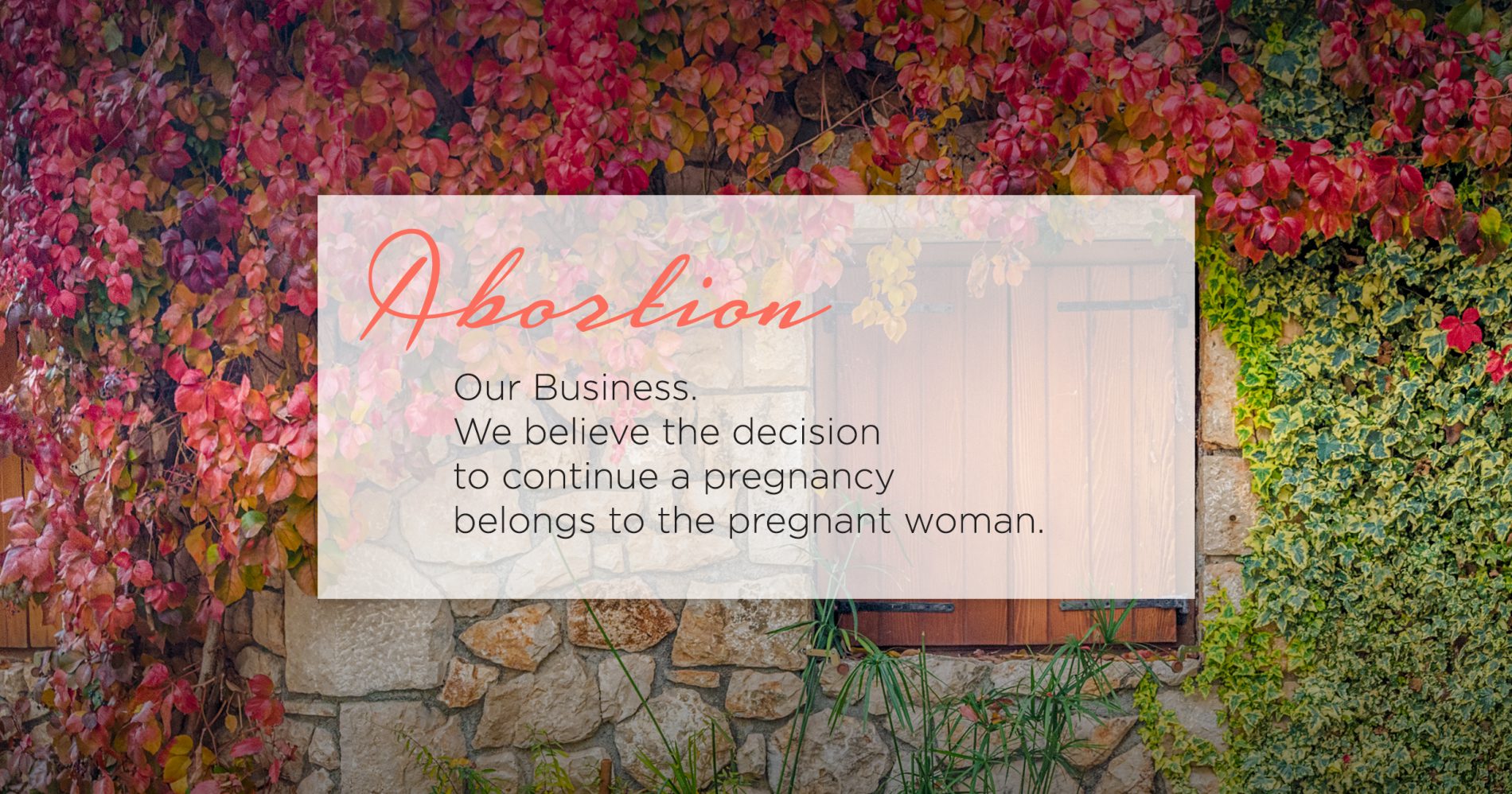 Abortion by Pill - Bristol Women's Health abortion clinic in Bristol, Virginia