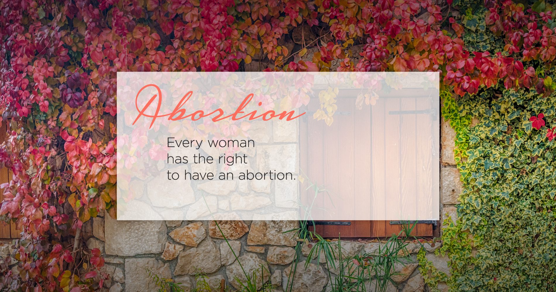Abortion Pill - Bristol Women's Health abortion clinic in Bristol, Virginia